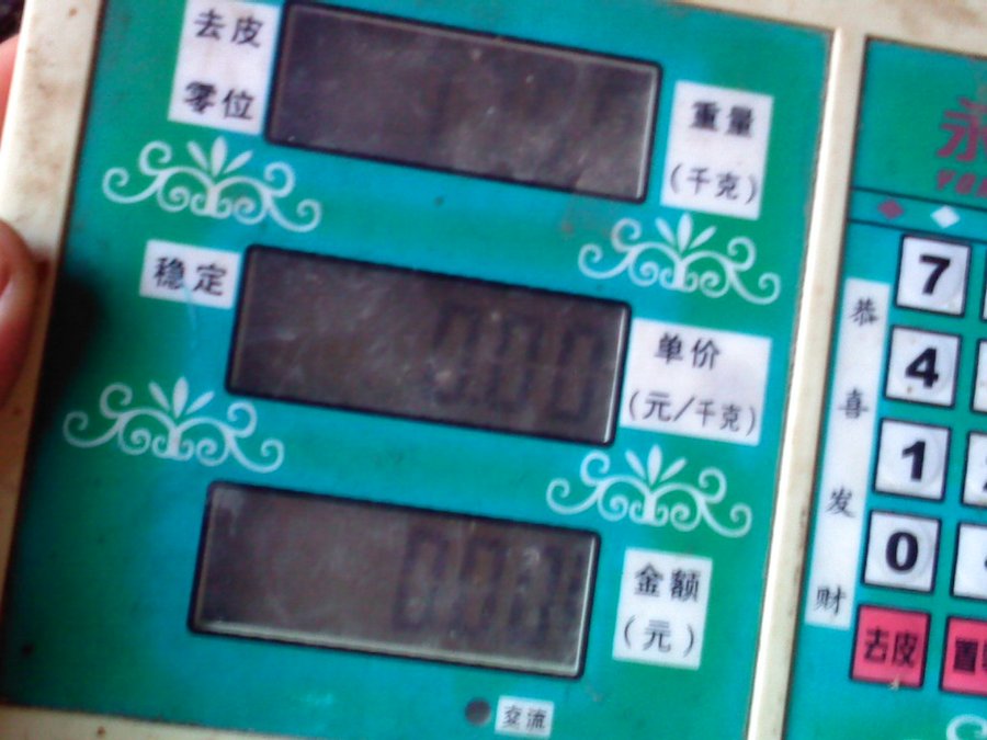 社建电子517.jpg