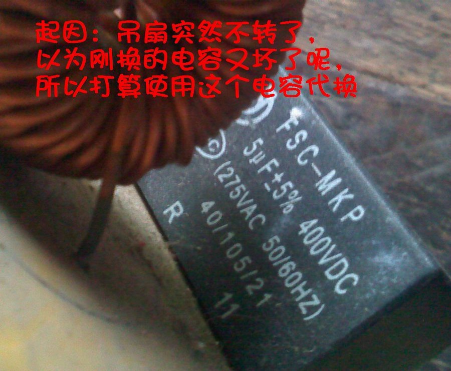 社建电子895.jpg